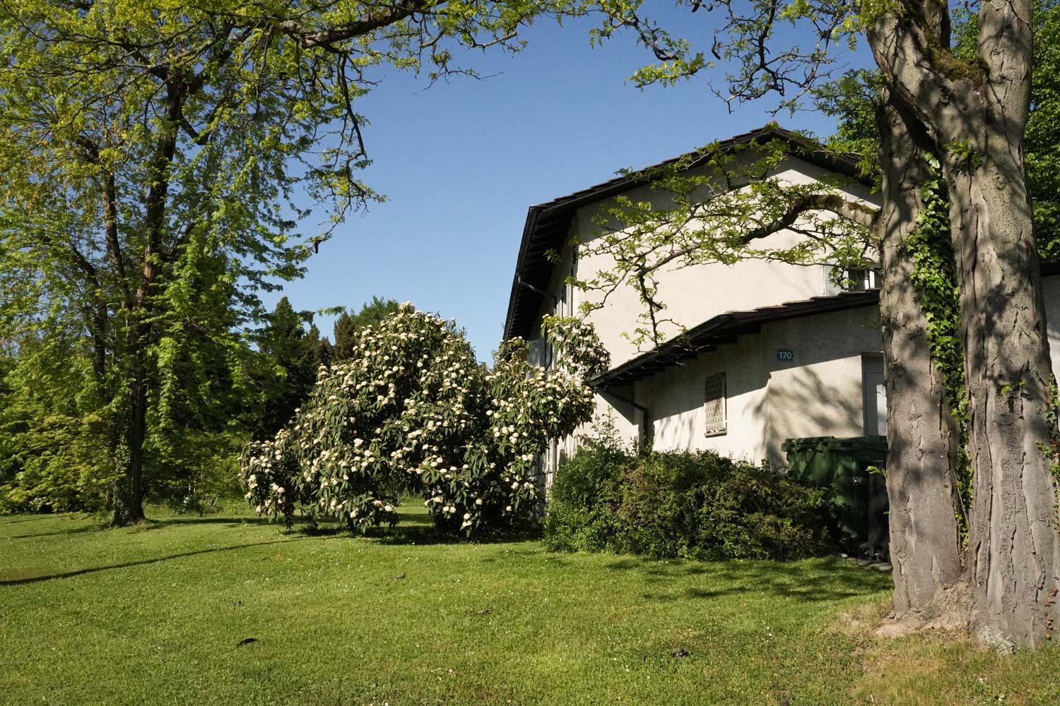 Assisihaus Rückseite
